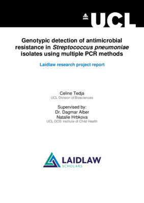 [Research report] Genotypic detection of AMR in S. pneumoniae isolates using multiple PCR methods
