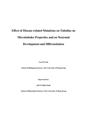Research Report: Effect of Disease-related Mutations on Tubulins on Microtubules Properties and on Neuronal Development and Differentiation