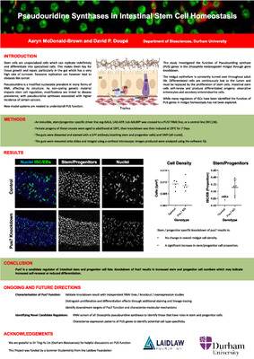 Research Project Poster