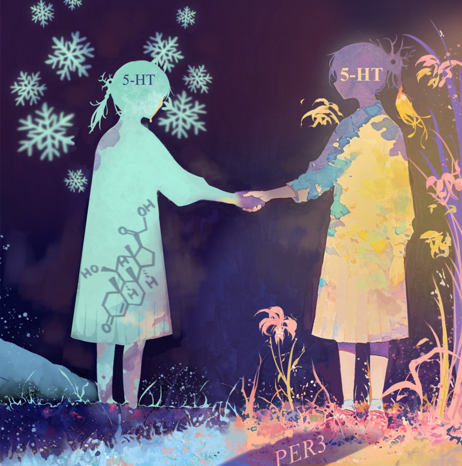 Light, Circadian Clock and Mood--Linked Together by Human Genetic Variants