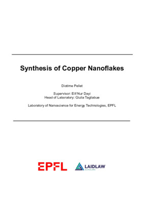 Report - Synthesis of Copper Nanoflakes