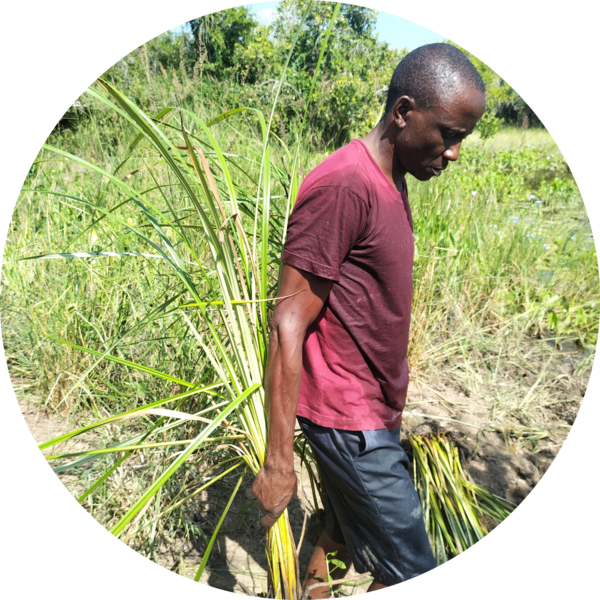 Go to the profile of Albert Baya Mwamure