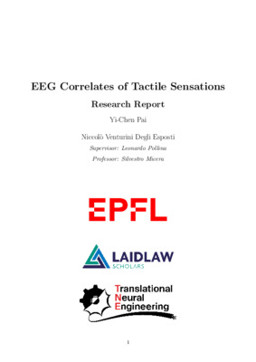 Research Report - EEG Correlates of Tactile Sensations