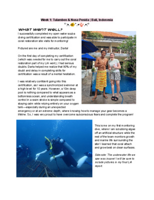 Week 1 Log | LiA Reflection: Coral, Connection, and Growth!