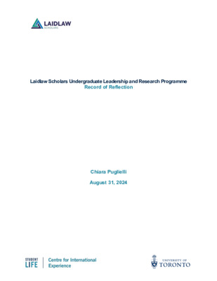 Summer Research Reflection