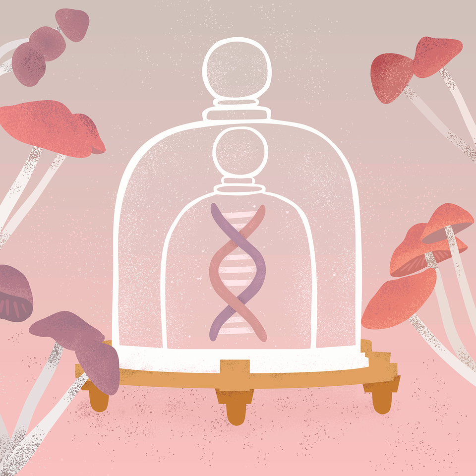 Fairy rings, mutations and immortality