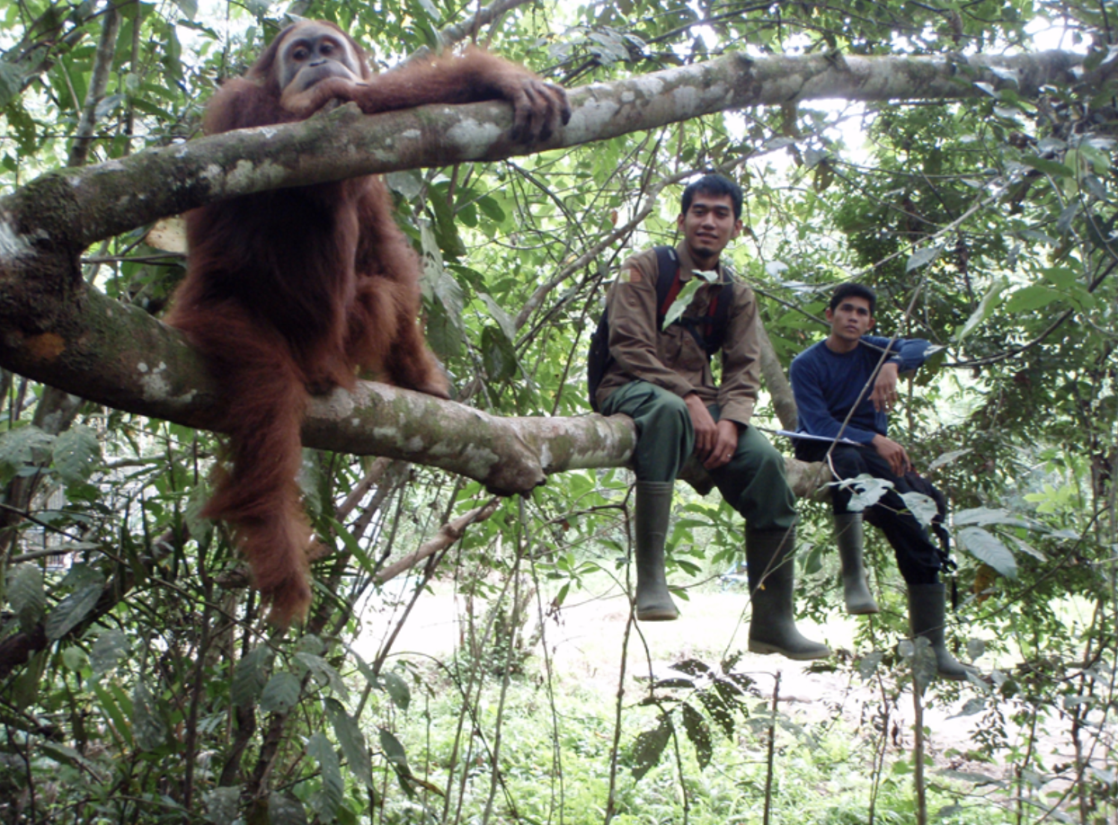 Project Outline: Human-Environment Interactions in Indonesian Borneo