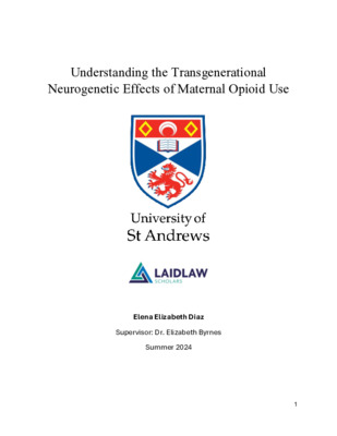 Research Essay - Understanding the Transgenerational Neurogenetic Effects of Maternal Opioid Use