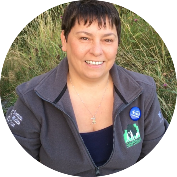 Go to the profile of Tracy lambert