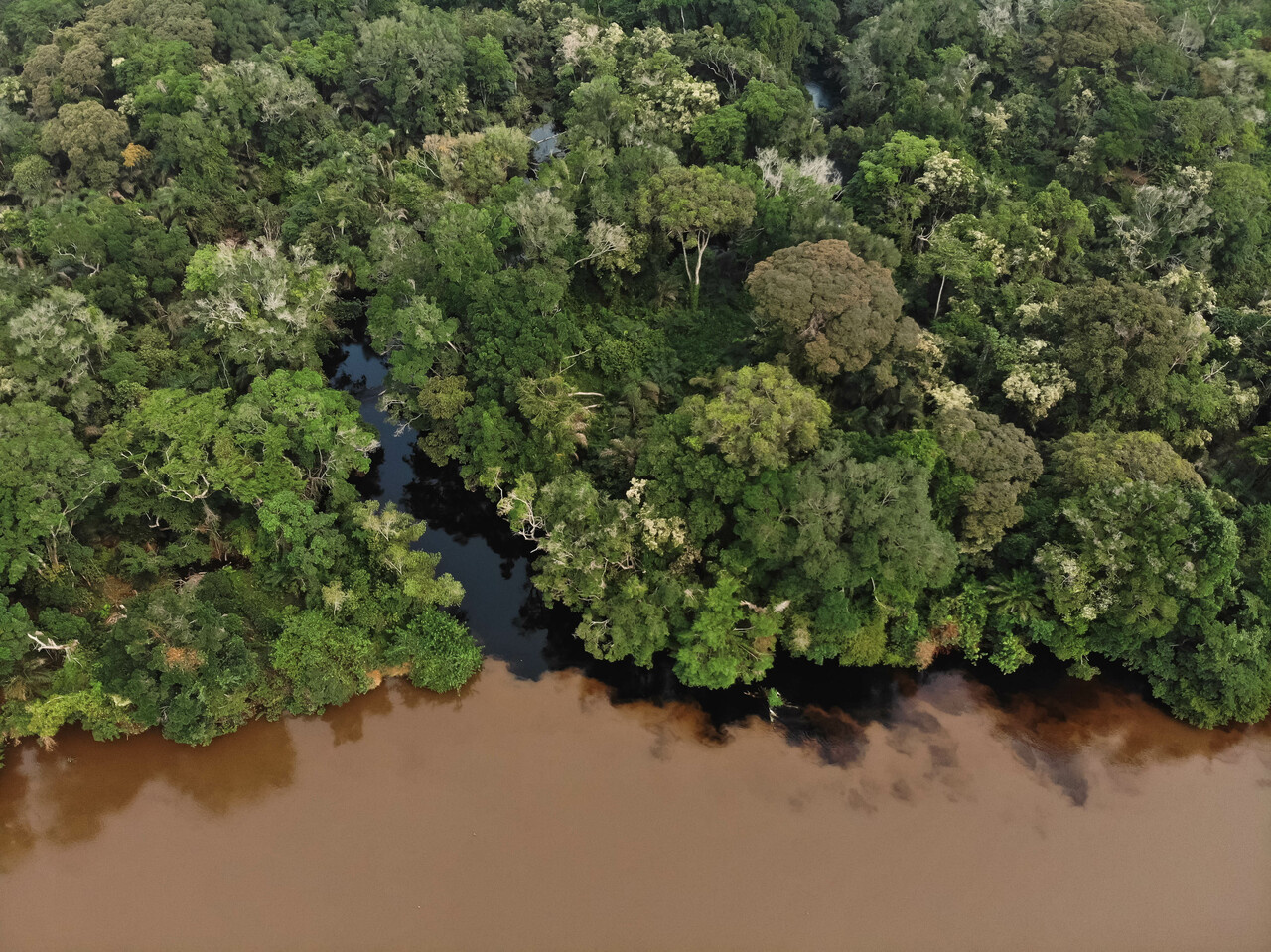 Climate change beneath the World’s forests: Tropical forests are experiencing entirely new temperature regimes.