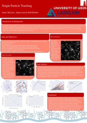 Decoding the Invisible: Tracking Particles Beyond the Visible Spectrum