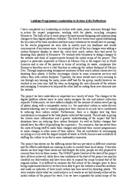 Leadership in Mexico City - Reflective Report 
