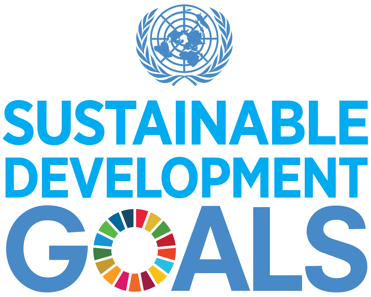 Project Outline: Exploring the Most Efficient Mapping Techniques and Platform to Map Sustainable Development Goals (SDGs)