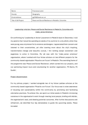 Lessons in Leadership: Reflections from Medellín