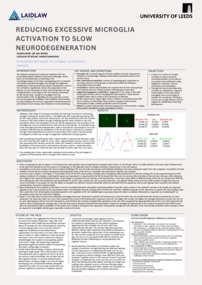 Reducing Excessive Microglia Activation to Reduce Neurodegeneration 