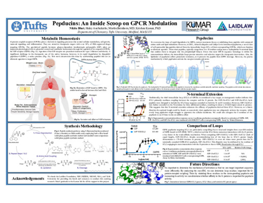 Laidlaw Poster- Pepducins: An Inside Scoop on GPCR Modulation
