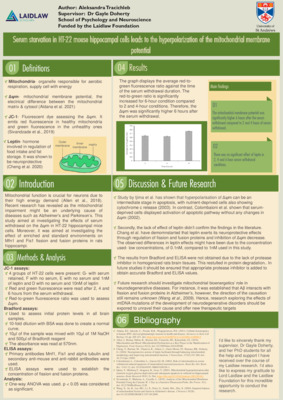 Mitochondria in health and disease- poster