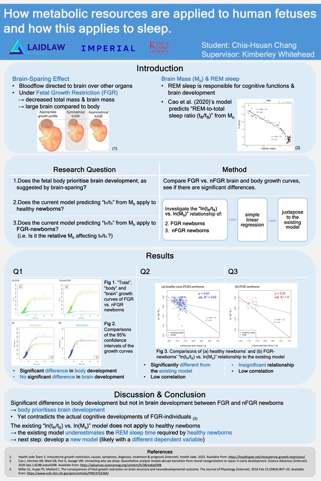 Research Output: How metabolic resources are applied to human fetuses and how this applies to sleep 