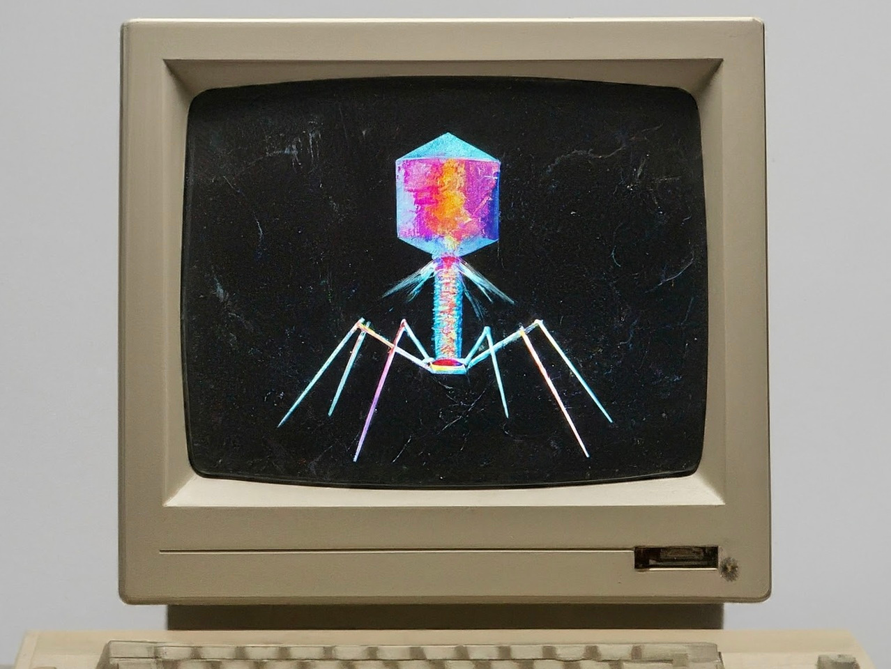 Finding phages that infect bacteria with AI | Research Communities by ...