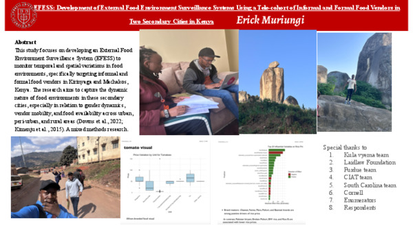 LIA experience in Kenya