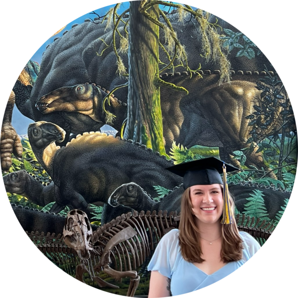 Go to the profile of Lauren Wilson