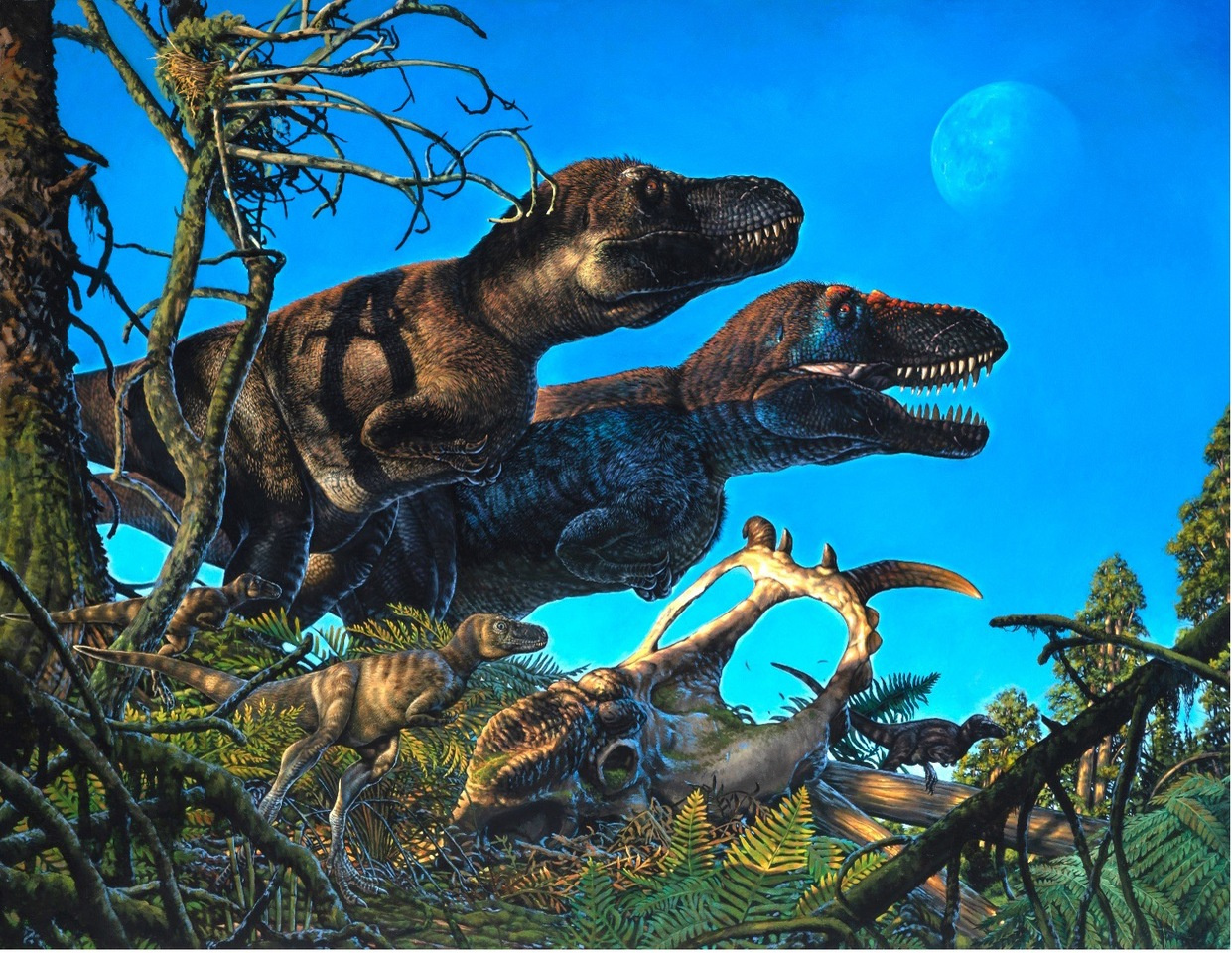 Bergmann’s rule is absent in Mesozoic dinosaurs and mammals