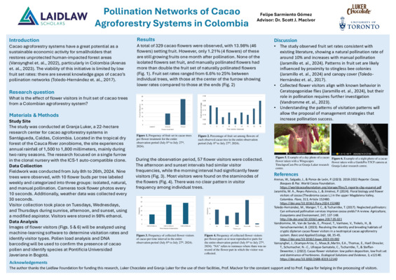 Research Poster (Landscape)