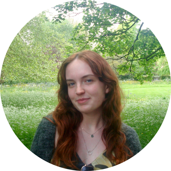 Go to the profile of Holly Toombs