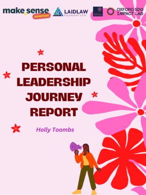 LiA make_sense americas: Personal Leadership Journey Report