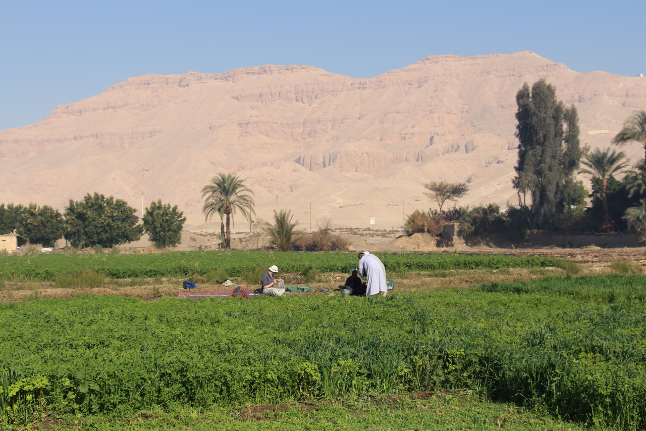Shift away from Nile incision at Luxor ~4,000 years ago impacted ancient Egyptian landscapes
