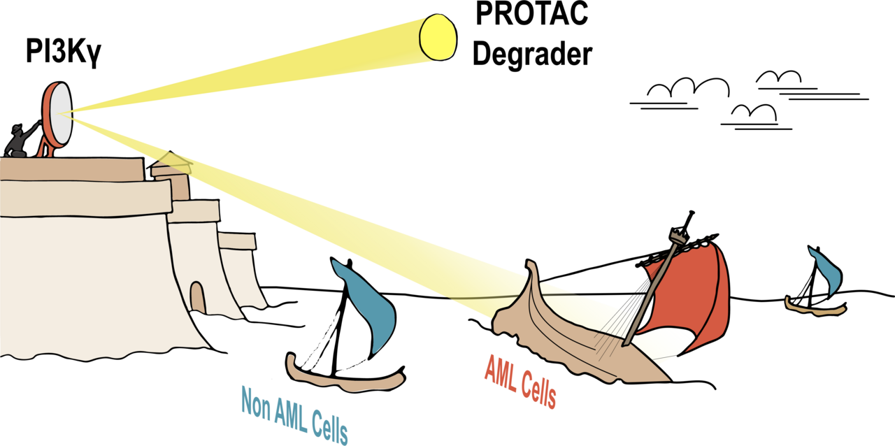 Targeting a Lineage-Specific PI3Kγ/ AKT Signaling Molecule in Acute Myeloid Leukemia Using a Heterobifunctional Degrader Molecule