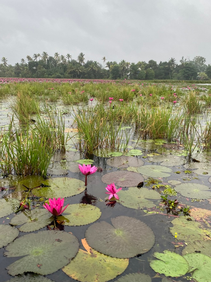 CraftHER by SWARA 2025 LiA- Week 4 reflection (Courage) 