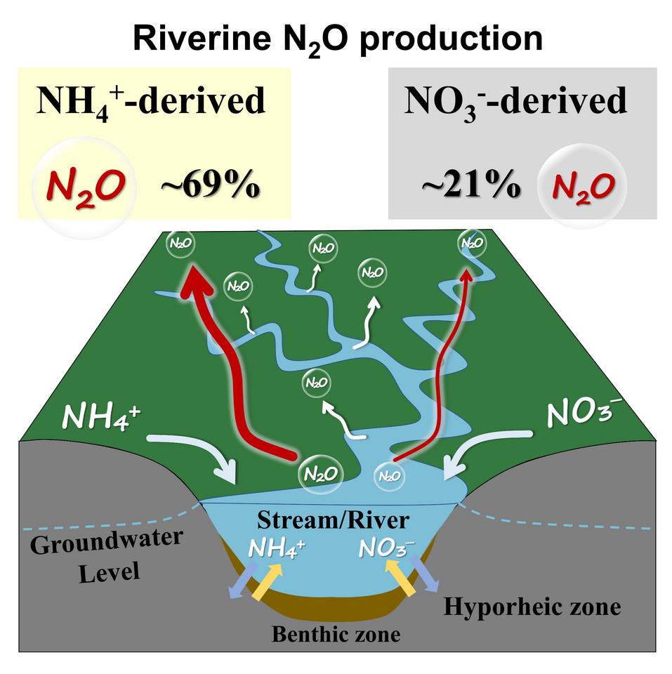Ammonium-derived nitrous oxide is a global source in streams