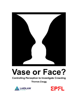 Vase or Face? [Report]