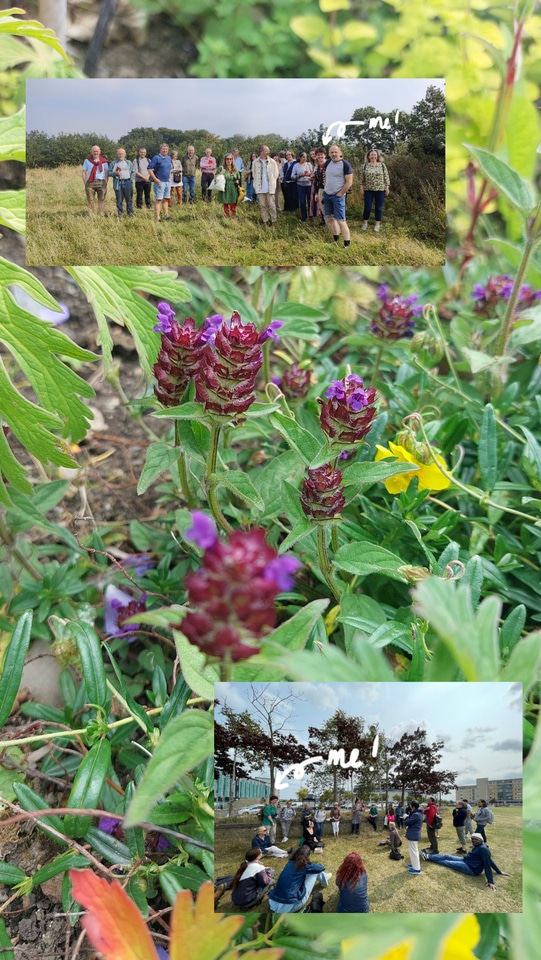 Jumping into Community Action: My Laidlaw experience