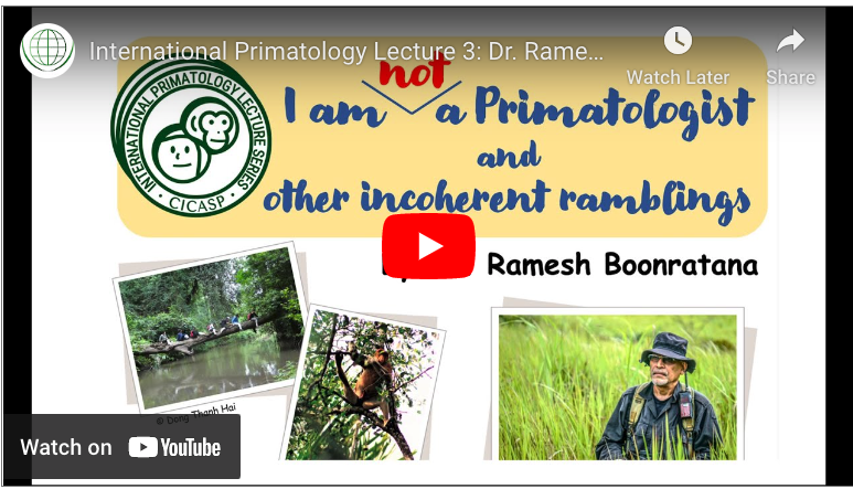 I am "not" a primatologist and other incoherent ramblings.