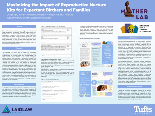Laidlaw Poster: Maximizing the Impact of Reproductive Nurture Kits