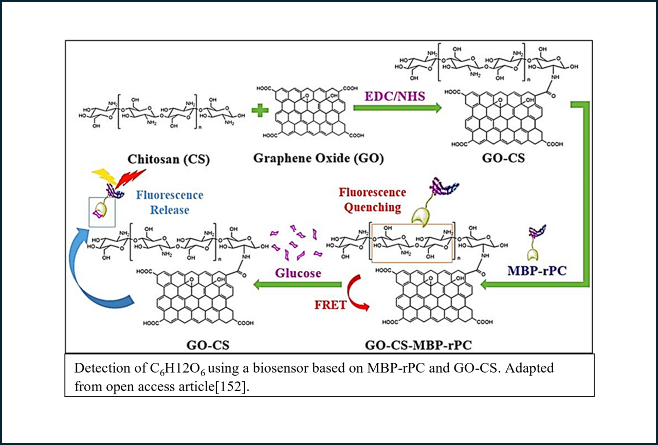 Biomedical Applications of Graphene-Based Nanomaterials: Recent Progress, Challenges, and Prospects in Highly Sensitive Biosensors