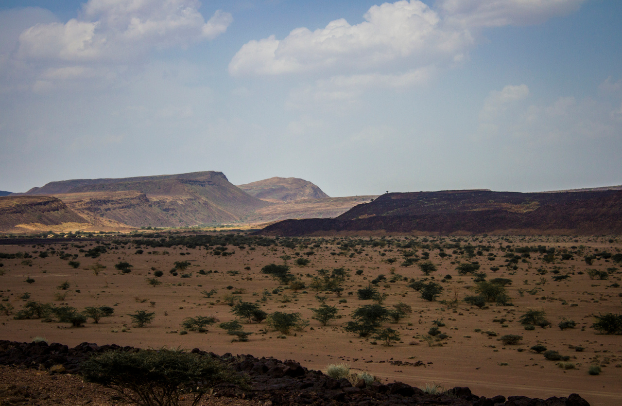 Observing deep motions of magma beneath a nascent ocean from space 
