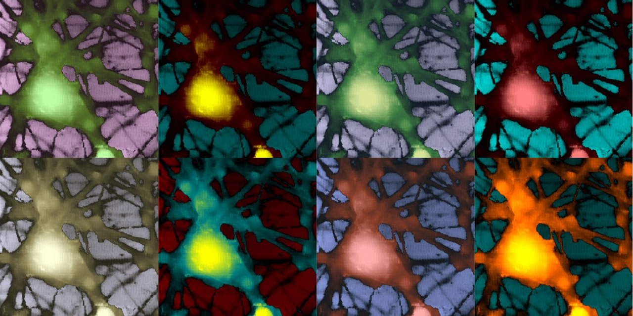 Injecting molecules one at a time into cells.