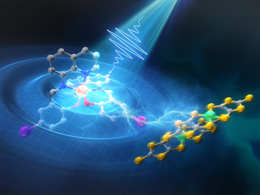 Observing Ultrafast Photoinduced Dynamics in a Halogen-Bonded Supramolecular System