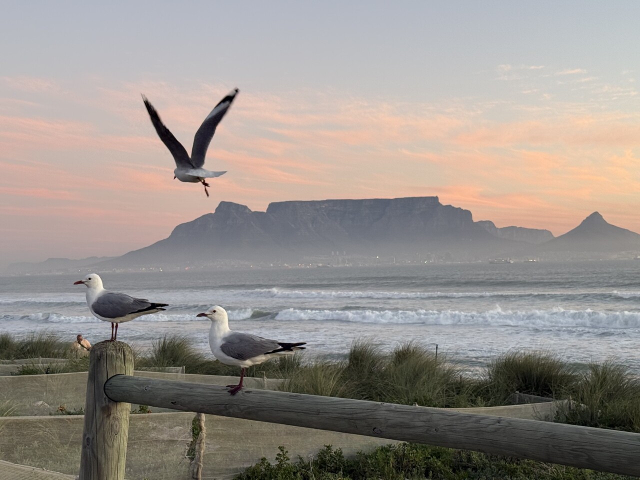 LiA - Running a Mental Health Programme for Teens at SOS Children's Village, Cape Town