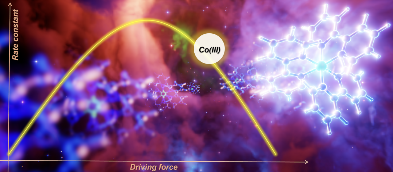 The origins of the Marcus inverted excited-state dynamics in cobalt(III) 