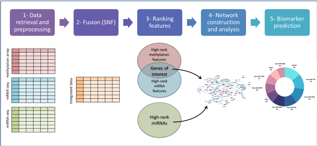 A multi-omics approach for biomarker discovery in neuroblastoma: a network-based framework