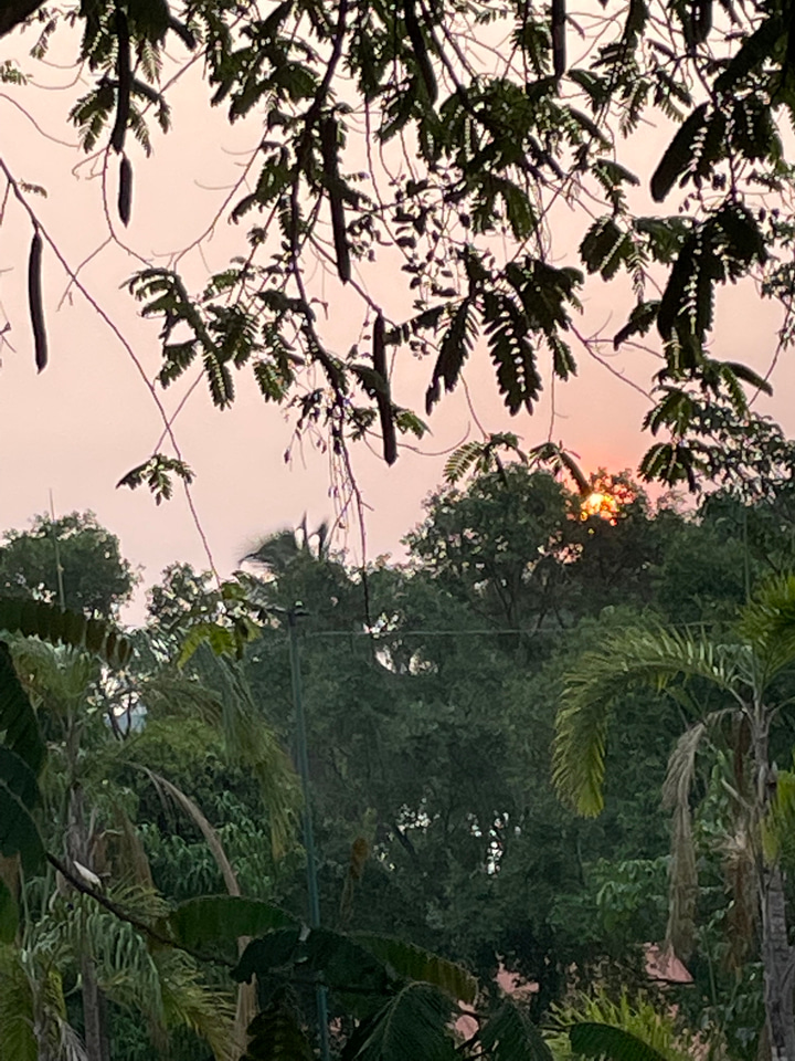 Culture’s influence in land systems