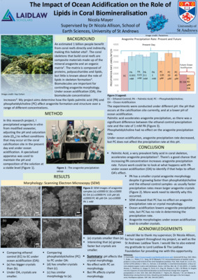 Research Poster - The Impact of Ocean Acidification on the Role of Lipids in Coral Biomineralisation