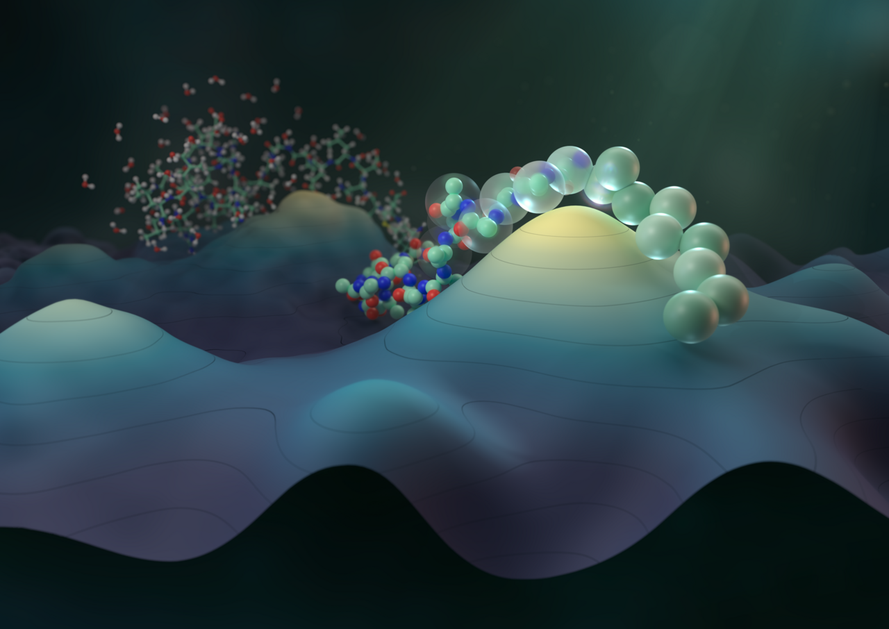 Navigating protein landscapes with a machine-learned transferable coarse-grained model