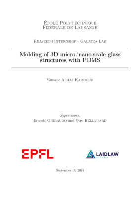 Research Report: Molding of 3D micro/nano scale glass structures with PDMS