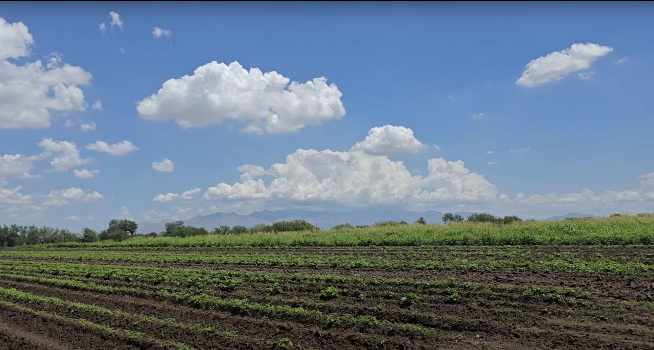 LiA Reflection Week 5: Government, Economy, and Action