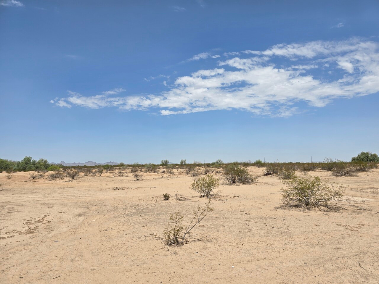 LiA Reflection Week 3: Darkness and Hope in the Borderlands 